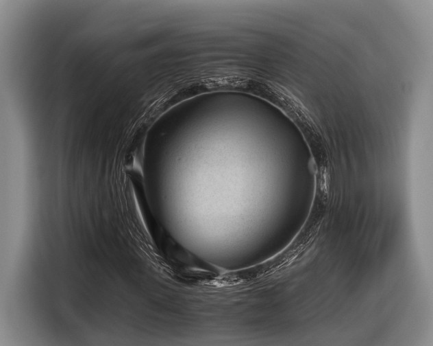 X0000116640915200912141232