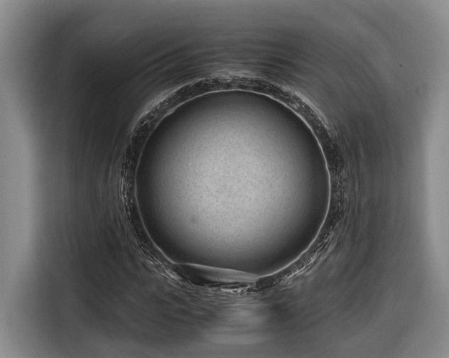 X0000116640919200912141232