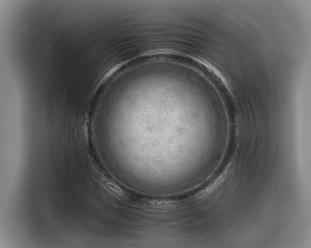 X0000116640921200912141232