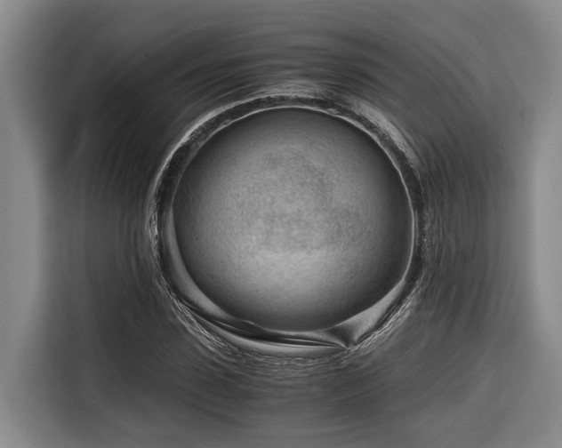 X0000116640923200912141232