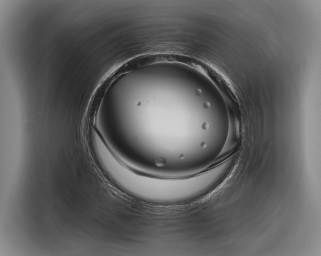 X0000116640925200912141232