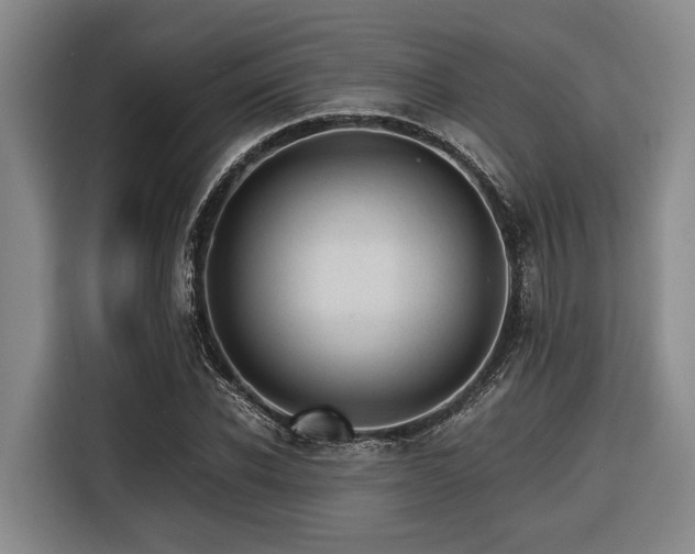 X0000116640926200912141232