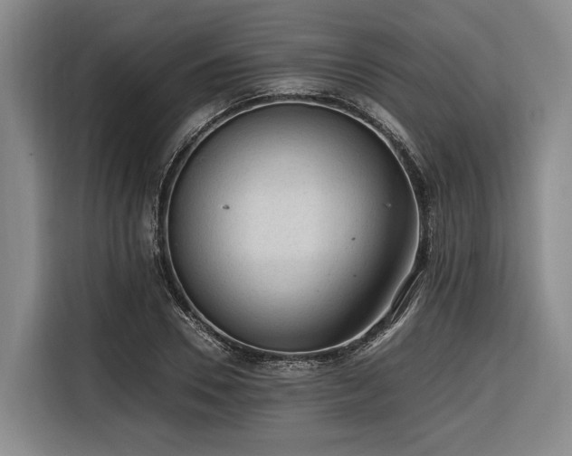 X0000116640930200912141232