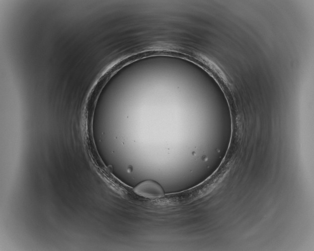 X0000116640931200912141232