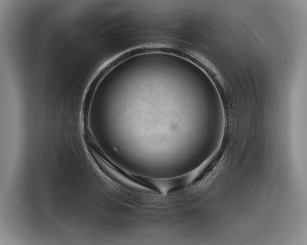 X0000116640935200912141232