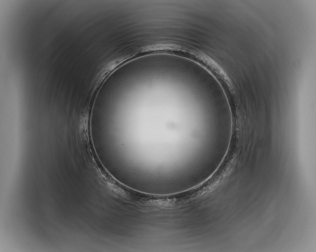 X0000116640937200912141232