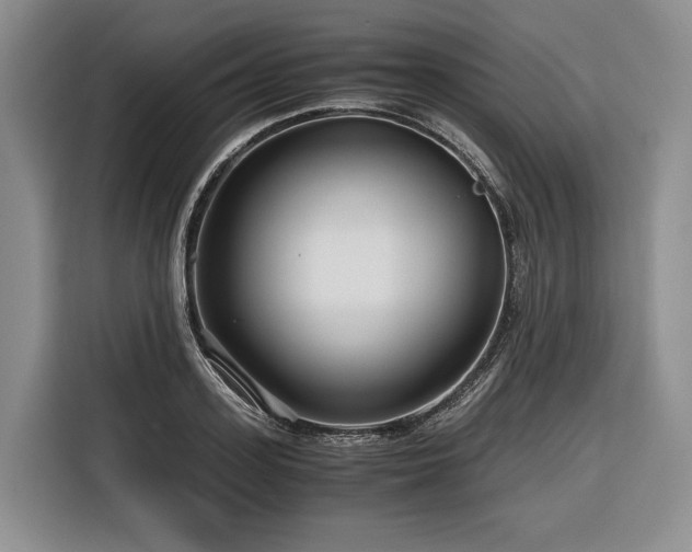 X0000116640939200912141232