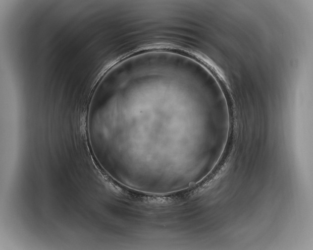 X0000116640945200912141232