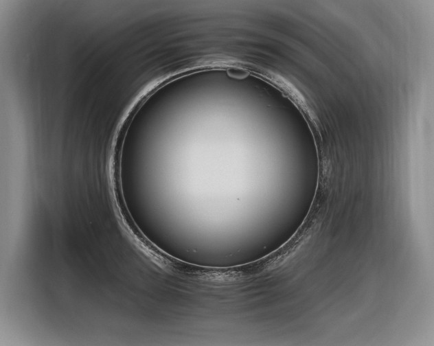 X0000116640947200912141233