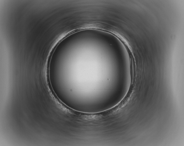 X0000116640949200912141233