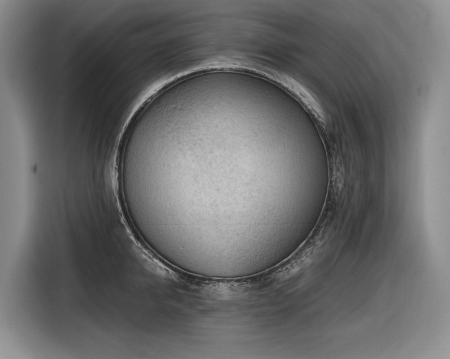 X0000116640950200912141233