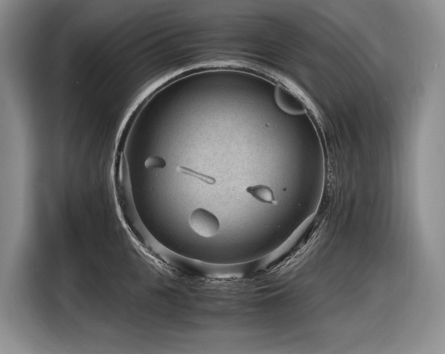 X0000116640951200912141233