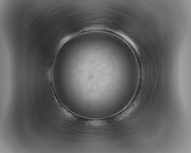 X0000116640953200912141233