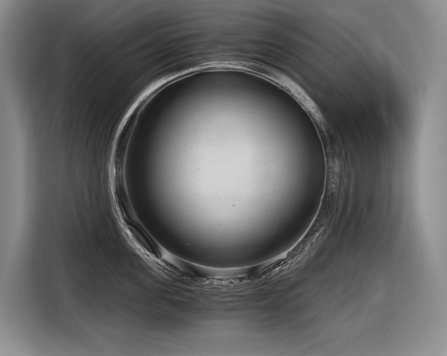 X0000116640955200912141233