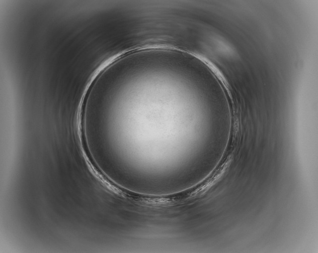 X0000116640957200912141233