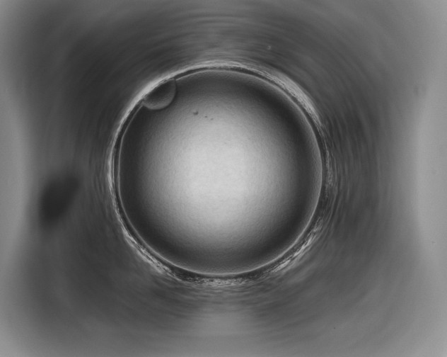 X0000116640958200912141233