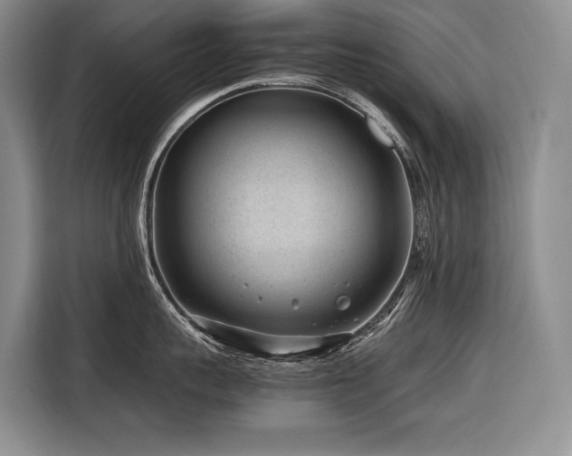 X0000116640959200912141233