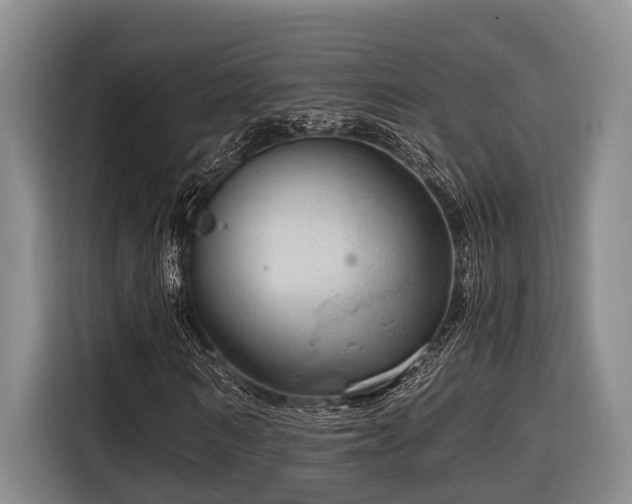 X0000116640962200912141232