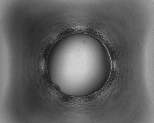 X0000116640963200912141232