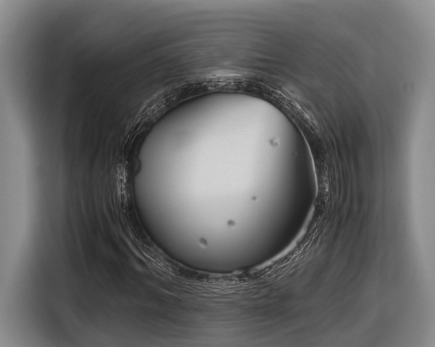 X0000116640964200912141232