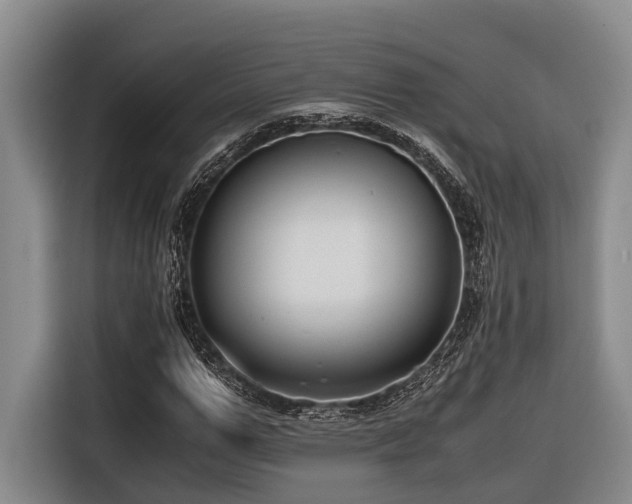 X0000116640967200912141232