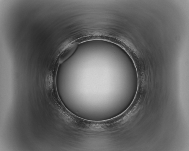 X0000116640969200912141232