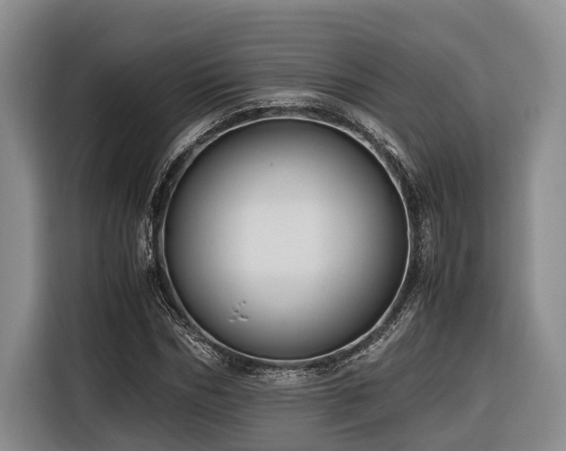 X0000116640970200912141232