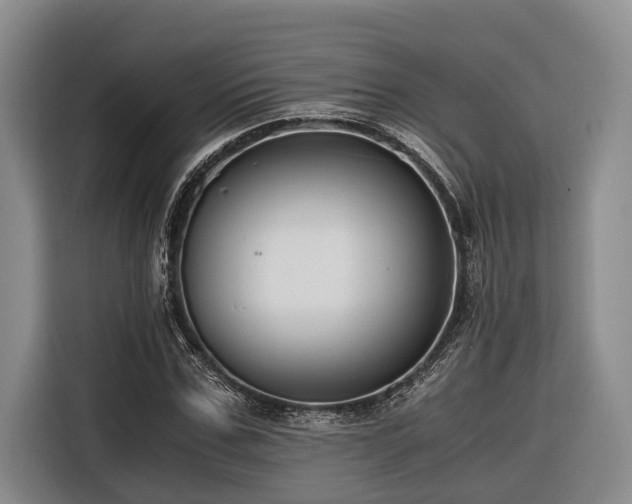 X0000116640971200912141232