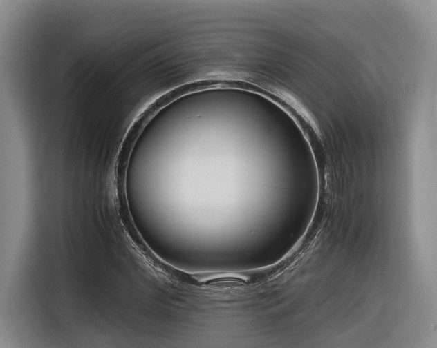 X0000116640972200912141232