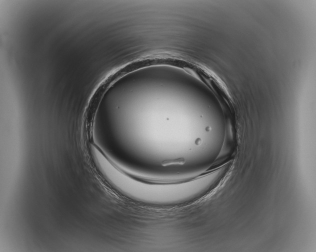 X0000116640973200912141232