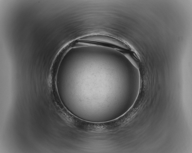 X0000116640975200912141232