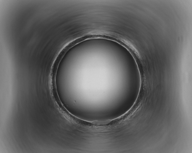 X0000116640976200912141232