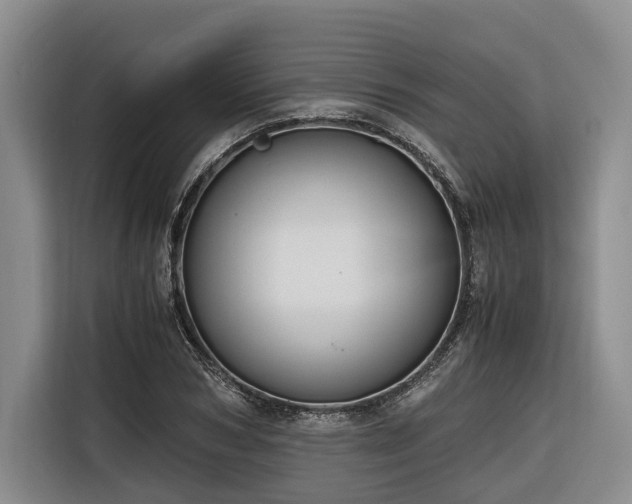 X0000116640978200912141232