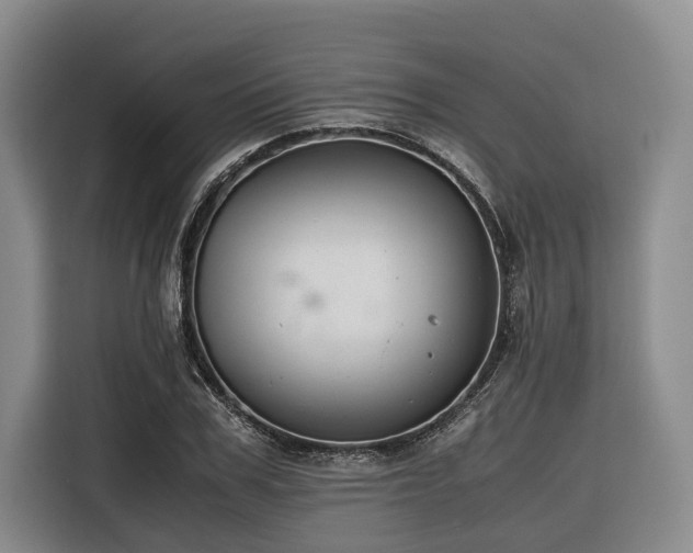 X0000116640979200912141232