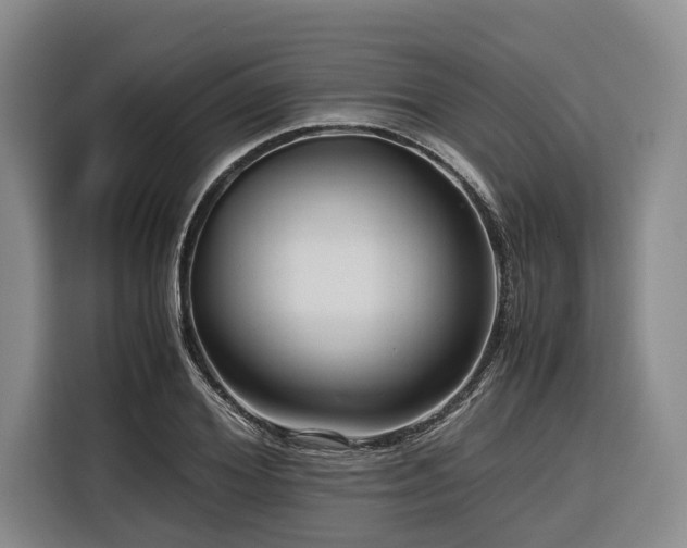 X0000116640980200912141232