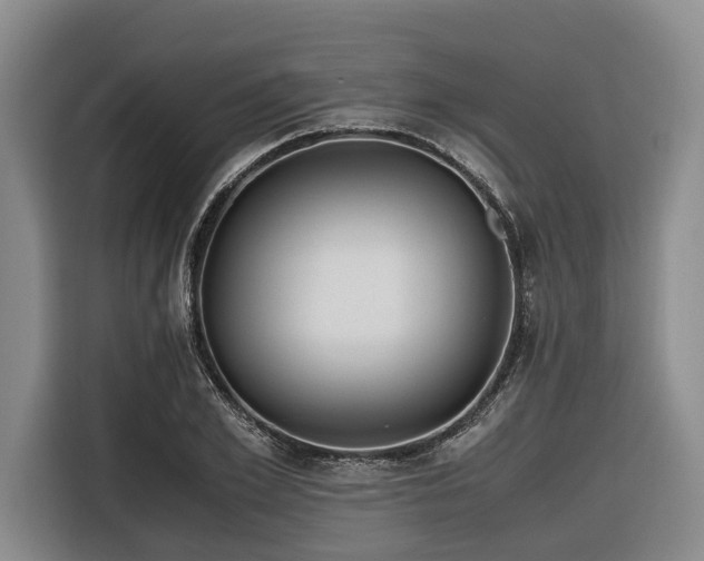 X0000116640981200912141232