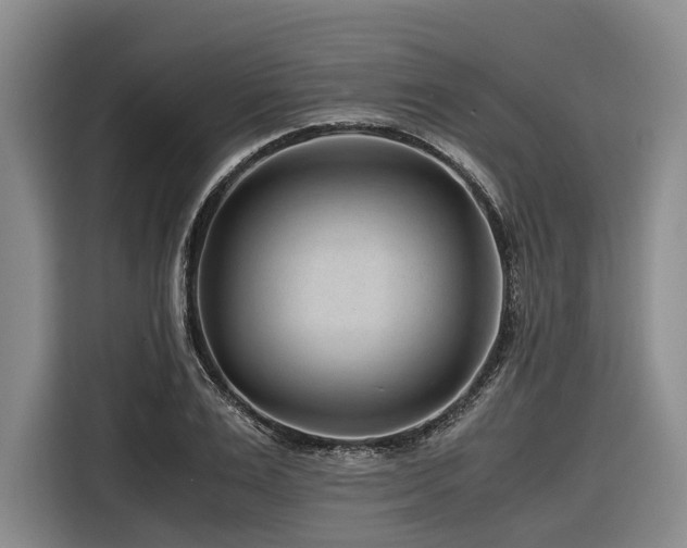 X0000116640983200912141232