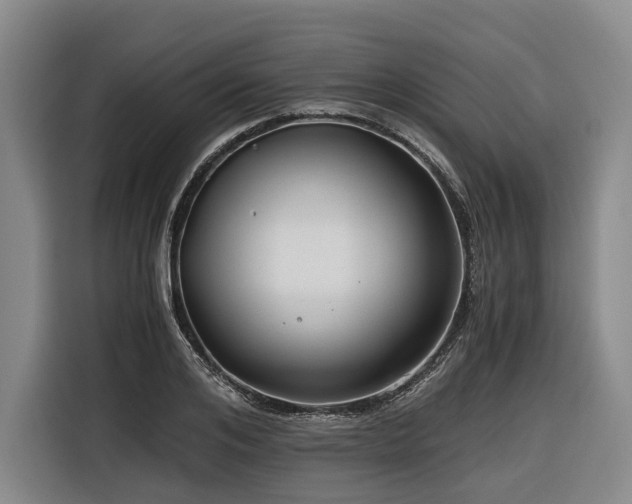 X0000116640984200912141232