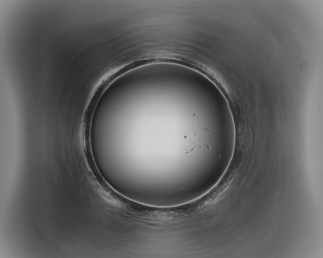 X0000116640987200912141232