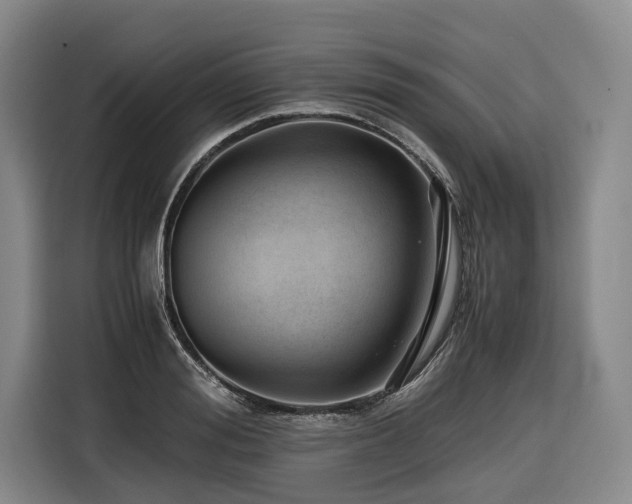 X0000116640988200912141232