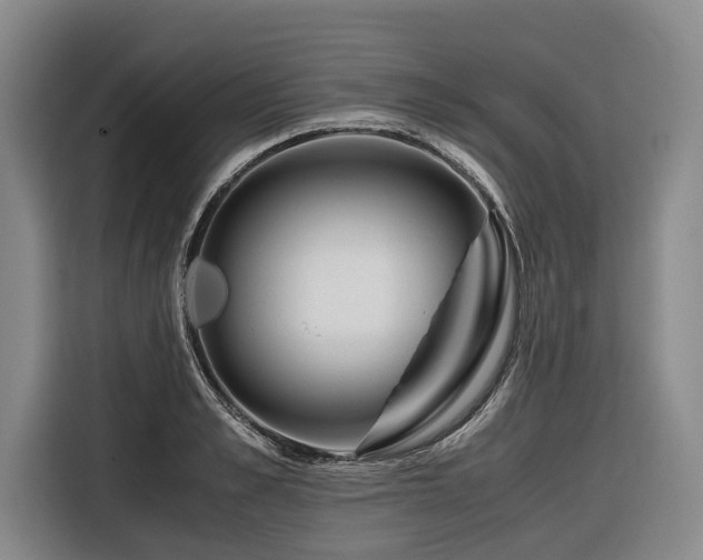 X0000116640989200912141232