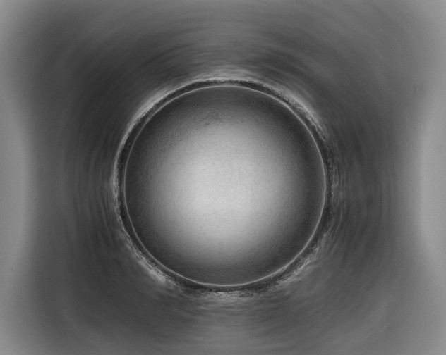 X0000116640990200912141232