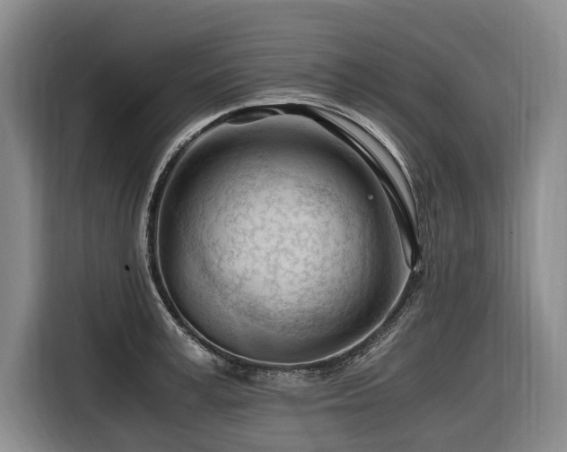 X0000116640995200912141232