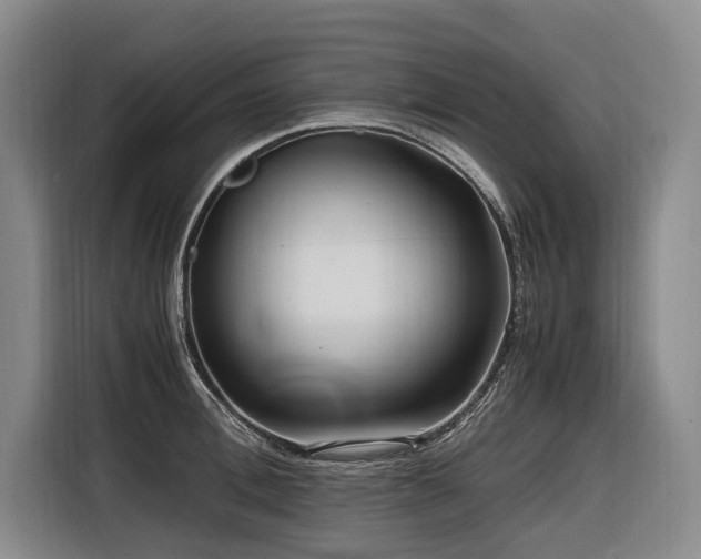 X0000116640996200912141232