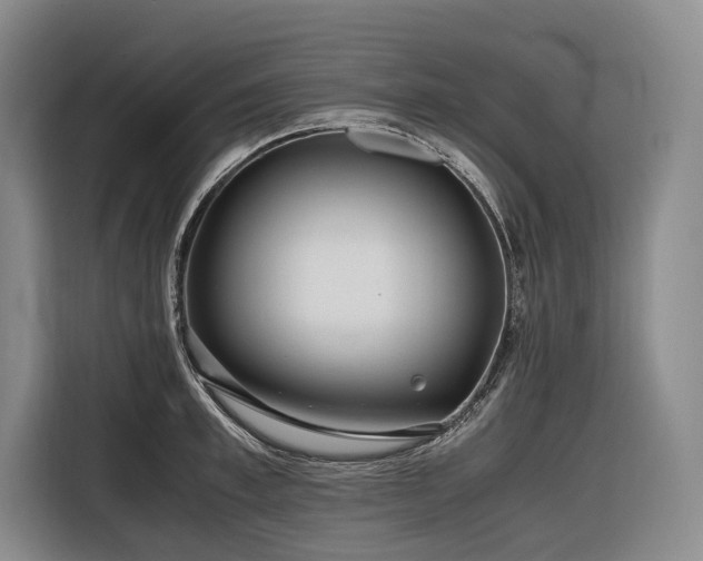 X0000116640997200912141232