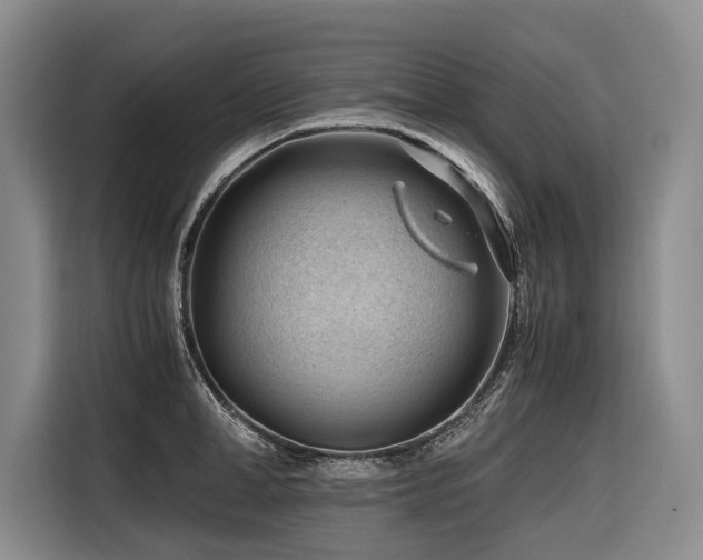 X0000116640998200912141232