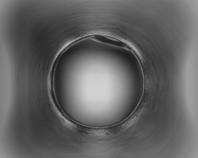 X0000116640999200912141232