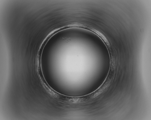 X0000116641000200912141232