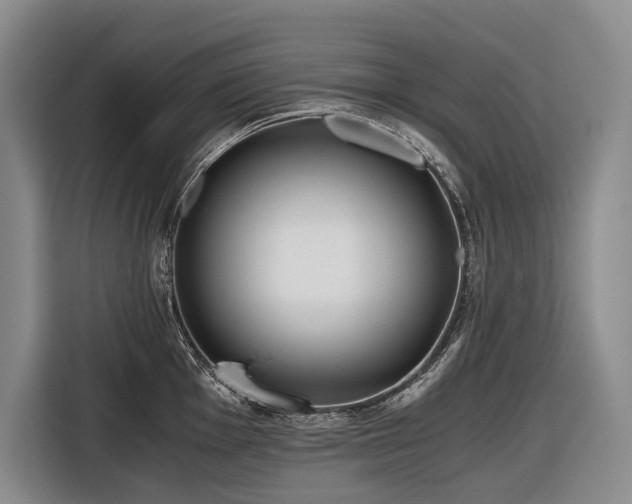 X0000116641001200912141232