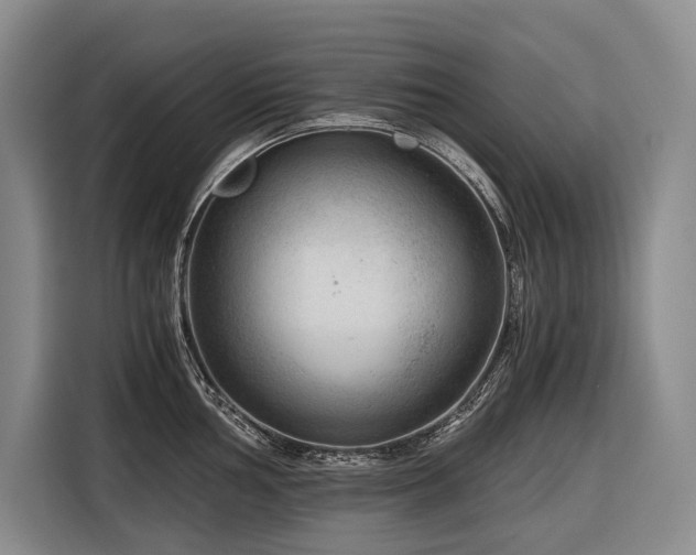 X0000116641002200912141232